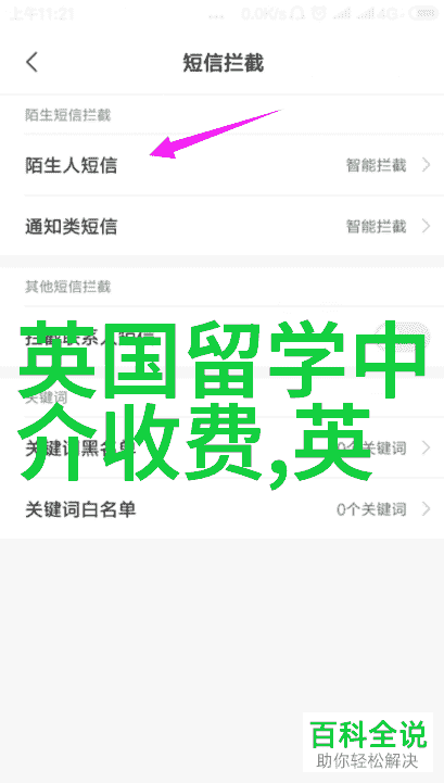 留学英国一年的费用综合探讨留学生活的财务预算