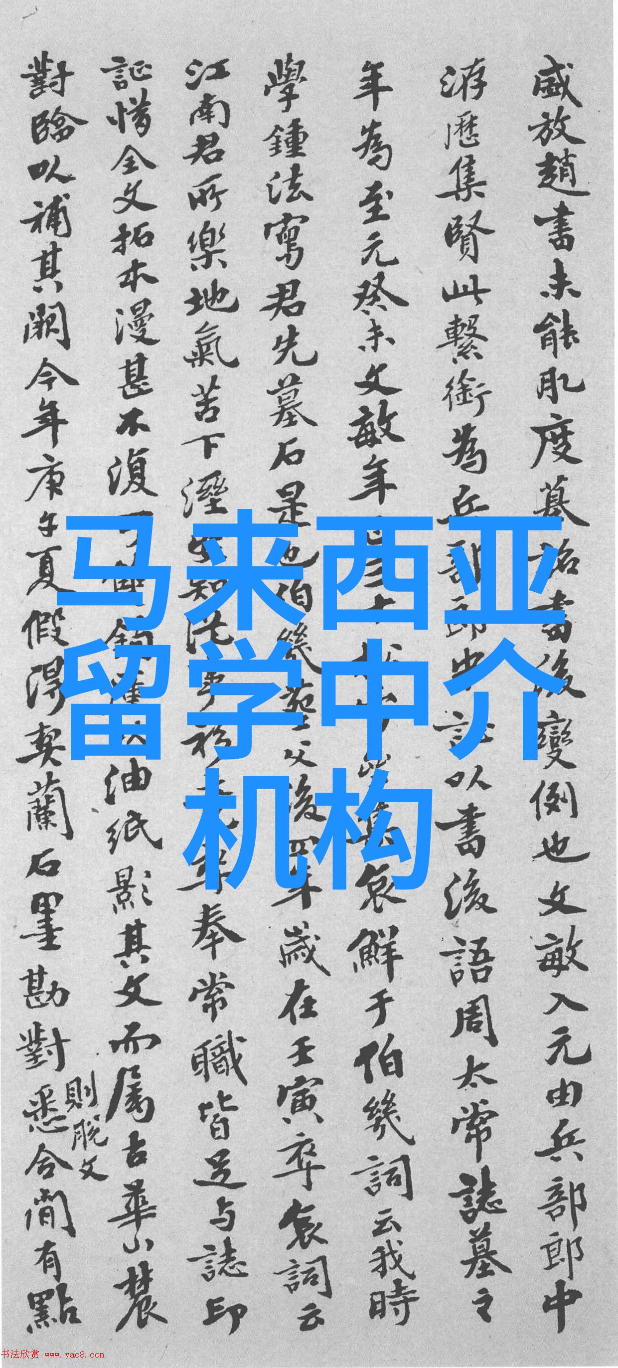 本科生出国读研条件有哪些我是如何决定出国深造的解析本科生去留学攻读研究生的关键因素