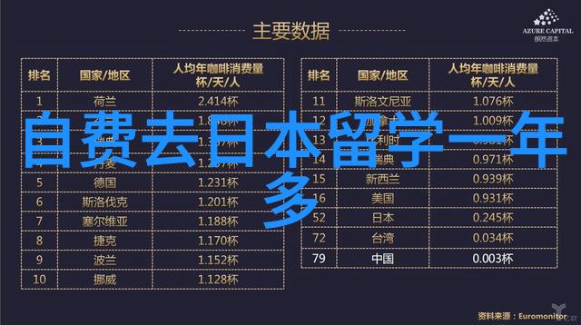 留学梦想的桥梁深度解析MyOffer留学中介服务