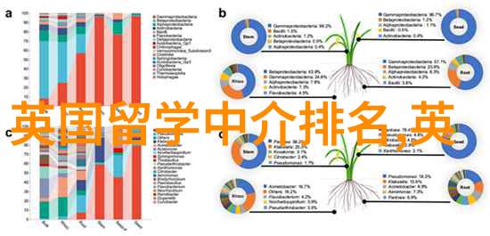 波兰留学申请条件-揭秘波兰大学录取门槛和入学要求