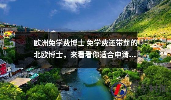 欧洲免学费博士 免学费还带薪的北欧博士来看看你适合申请哪所高校吧