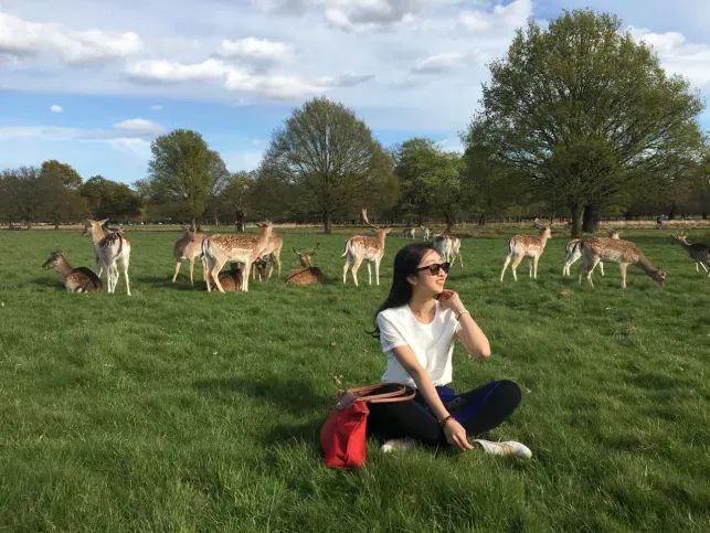 英国本地留学机构_英国留学中介机构排名_全国十佳留学机构中介/